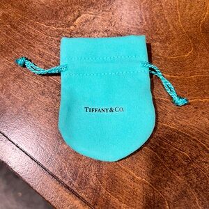 Tiffany & Co Small Jewelry Pouch Turquoise Color NWOT